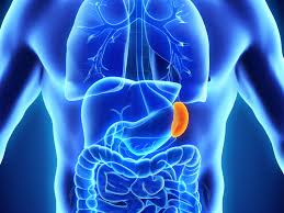 We did not find results for: Limpa Di Mana Ia Adalah Dan Bagaimana Ia Menyakitkan