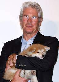 Richard Gere Photostream Celebrity Dogs Richard Gere Dog Story