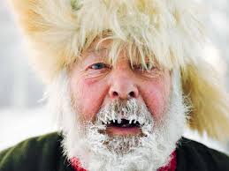 Arctic Circle Portraits