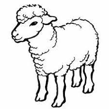 Maybe you would like to learn more about one of these? Top 25 Free Printable Sheep Coloring Pages Online