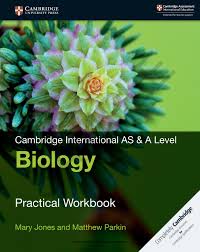 Fermentation produces a steady supply of atp. As A Level Biology Workbook By Cambridge University Press Education Issuu