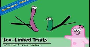 Pin By Life Science Biology With Me On Teaching Ideas Life Science Lessons Genetics Lesson Genetics Activities