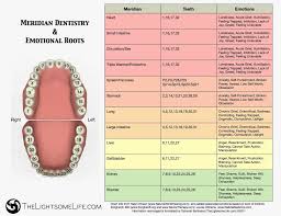 Teeth Meridians Emotions Chart Tooth Chart Dentistry