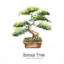 Watercolor Tree Bonsai Hand Draw Japanese Tree Vector Illustrations Bonsai Tree Painting Tree Watercolor Painting Watercolor Tree