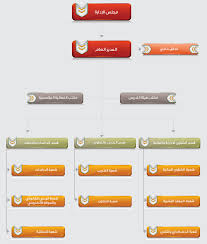 Organizational Hierarchy