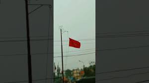 Cpim Ldf Flag Status Youtube I forget which ones need variable inputs. youtube