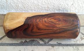 Image result for Dalbergia sissoo