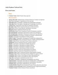 Image result for Pegolettia retrofracta