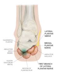 This first knee pain diagnosis chart focuses on pain at the front of the knee. Chronic Heel Pain A Case Of Baxter S Nerve Injury