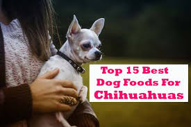 Home › best dog foods › the best dog food for chihuahuas. Top 15 Best Dog Food For Chihuahua Puppy Review And Buying Guide