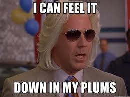 images?q=tbn:ANd9GcTyrR8YCeHj29h4djOuiOz