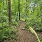 Jungle Habitat – Tapawingo Trail Build 11/2/2025... event in West Milford, NJ