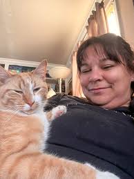 Vlad is a 4-month-old bundle of energy who's never met a stranger: only new  best friends! This playful, outgoing boy is full of purrs, zoomies, and  cuddles. He's always the first to