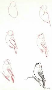 eladerengokce adli kullanicinin how to draw panosundaki pin drawing lessons eskiz karalama defteri fikirleri