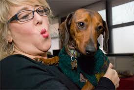 Paws for Healing: Therapy dogs celebrate five years at Naval Station  Norfolk