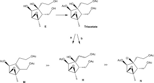 Image result for Tinnea antiscorbutica