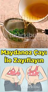 Maydanoz Cayi Ile Zayiflama Bitki Saglikli Icecekler Diyet