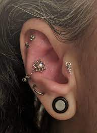 Pin By Dylan Christiano On Piercing Plans Well Pictures Piercing Ear Piercings