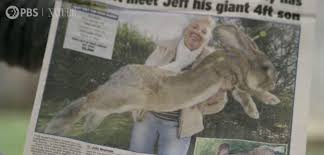 Continuer à lire sur le même thème:les plus gros chats du monde le lapin sans oreilles la tomate lapin un gros chien un gros ventre le plus gros feux d'artifice pouce remplace par. Elle Offre Une Recompense A Qui Retrouvera Le Lapin Le Plus Grand Du Monde