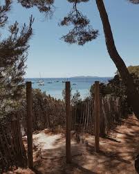 camille blog de voyage camhauspy plage de l estagnol bormes les mimosas france en ce samedi matin ensoleille je in 2020 instagram plants tree trunk