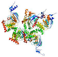 Cystic fibrosis transmembrane conductance regulator (cftr) is a membrane protein and chloride channel in vertebrates that is encoded by the cftr gene. Cystic Fibrosis Transmembrane Conductance Regulator Wikipedia
