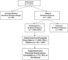 Flow Chart Of Data On Catecholamine Levels In Maternal Urine