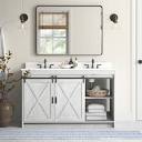 Sand & Stable Jillian 54'' Double Bathroom Vanity with Engineered ...