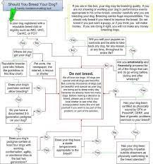 27 jun marley wants a girlfriend hi, my name is marley, i would like to find a girlfriend in southern maryland. Should You Breed Your Dog A Flowchart Your Dog Breeds Dogs