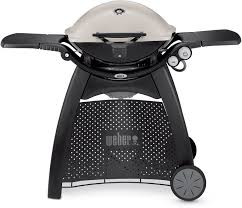 Weber Q3200 Gas Grill Titanium Natural Gas Grill Best Gas Grills Propane Gas Grill