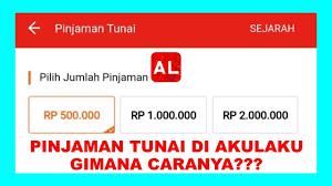 Saat ini cara pinjam uang di akulaku sangatlah mudah. Pinjaman Tunai Di Akulaku Gimana Caranya Youtube
