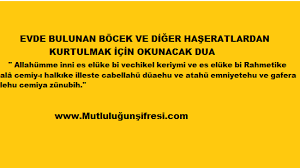 Evde huzur için okunacak dua ile eşler arasında çıkan huzursuzlukları dindirmek mümkün olmaktadır. Evdeki Her Hangi Bir Bocek Ve Haseratlardan Kurtulmak Icin Okunacak Dua Hamam Bocegi Kalorifer Bocegi Bit Pire Karinca Ve Diger Haseratlari Evden Uzaklastirm Dua