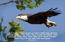 We did not find results for: Isaiah 40 31 Illustrated But Those Who Hope In The Lord Will Heartlight Gallery