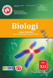 Kunci jawaban buku pr lks intan pariwara kelas 12 tahun 2020 2021. Buku Pr Biologi Kelas 12 Lks Intan Pariwara 2020 2021 Lazada Indonesia