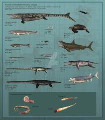 Https 3dwa21 Deviantart Com Art Animals Of The Western Interior Seaway 681265557 Prehistoric Animals Western Interior Prehistoric Creatures