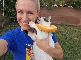 Kitten in La 90044 needs foster or adopter