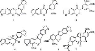 Image result for Neorautanenia ficifolia
