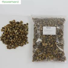 Fermente Saf Koyun Gubresi Gubre Gubre Organik Gubre Bahce Orkide Gubre 300g Organik Gubre Aliexpress
