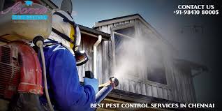 Situation dependent, professionals use a range of pesticide materials to exterminate and control pests. Best Pest Control Services In Chennai By Pestservicess Medium