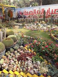 Maybe you would like to learn more about one of these? 30 Ø¹Ø§Ù… Ø§ Ù…Ù† Ø§Ù„Ø¹Ø´Ù‚ Ù…Ù‡Ù†Ø¯Ø³ ÙŠØ­ÙƒÙ‰ Ø±Ø­Ù„ØªÙ‡ Ù…Ø¹ Ø²Ø±Ø§Ø¹Ø© Ø§Ù„ØµØ¨Ø§Ø± Ø¨ÙŠØ¯Ù‰ Ø·Ø§Ù‚Ø© Ù„Ù„Ù…ÙƒØ§Ù† Ø§Ù„ÙŠÙˆÙ… Ø§Ù„Ø³Ø§Ø¨Ø¹