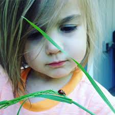 5 Kinds of Nonfiction: Guest Post by Melissa Stewart