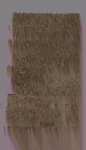 General catalogue of the officers and graduates of Williams College