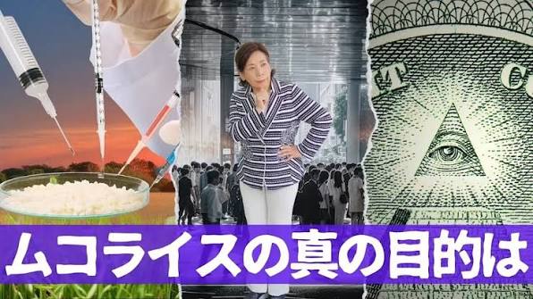 【 ムコライスの真の目的は？🌾💉 】, ⁡, ５月４日に開催された豊受Dayから、, とらこ先生の講演「ムコライス」の,  ハイライト部分をピックアップ。 , ⁡, ムコライスとは、, コレラ菌が作る毒素タンパク質の一部の遺伝子を, 米に組み込んで作った米型経口ワクチン,  （飲むワクチン）のこと。 , ⁡, インフルエンザや新型コロナウイルスなどの, 感染症予防として、, ...