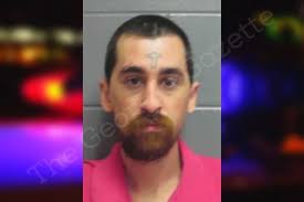 Collier King — Lee County Jail Bookings