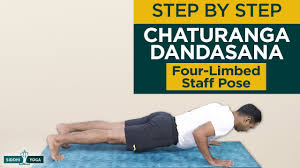 Try these beginner yoga poses for starters. Chaturanga Dandasana Four Limbed Staff Pose Youtube