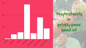 Nopal cactus and prickly pears are not widely available in my local area. Oil Of The Month Cactus Pear Seed Oil Swettis Beauty Blog