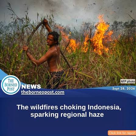 For weeks, Indonesia has been battling fires that have burned vast swathes  of forest and peat ecosystems, causing toxic haze to blanket parts of the  country, Malaysia and Singapore. Read more:  https://www.theborneopost.com/2026/09/28/the-wildfires ...