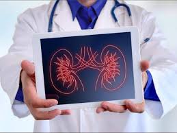 Kidney stone is a condition that affects the kidney shown in blue. Cut Down On Animal Protein Avoid Coffee These Small Steps Can Help Prevent Kidney Stones In Summer The Economic Times