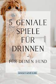 …ist keine so gute idee! 5 Geniale Spiele Um Deinen Hund Drinnen Zu Beschaftigen Herr Olaf Backen Basteln Hund Leben Diy Hundeblog Hunde Beschaftigung Fur Hunde Hund Beschaftigen