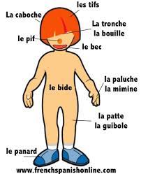 For example, while you order wine at the restaurant, you should say : Slang French Body Parts