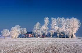 Winter In Groningen Netherlands Groningen Netherlands Beautiful Places